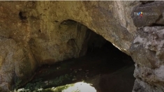 Peștera Gaura cu Muscă: povești cu Iovan Iorgovan și musca columbacă | VIDEO
