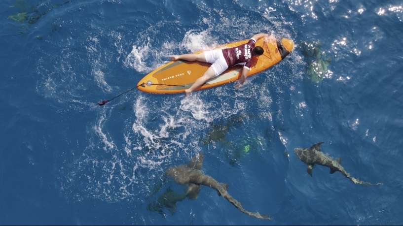 Primul concurs de paddling printre rechini, la „Microbist de România”