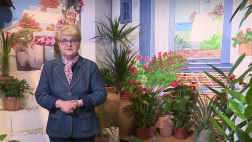 În grădina Danei