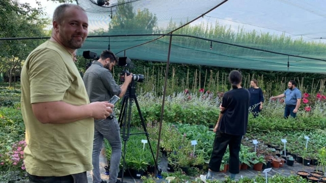 secretele plantelor