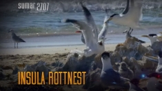 Teleenciclopedia: Insula Rottnest | VIDEO