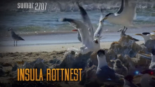 Teleenciclopedia: Insula Rottnest | VIDEO