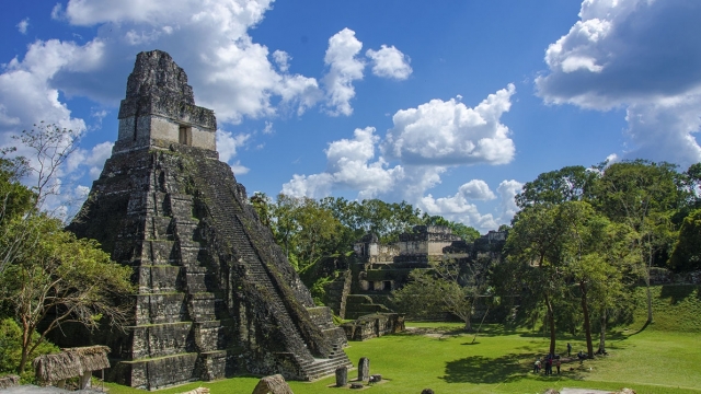 (w640) Tikal