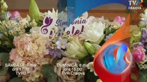 Caravana TVR3 – Festivalul „Simfonia Lalelelor” | VIDEO