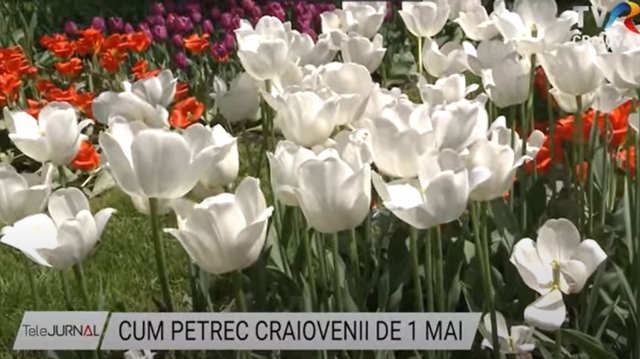 craiova
