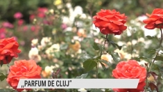 Parfum de Cluj | VIDEO