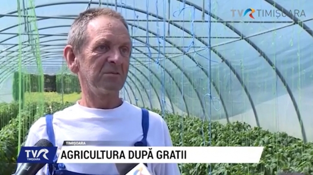 Agricultură după gratii | VIDEO