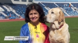 Campionatul Mondial al Câinilor de Salvare | VIDEO