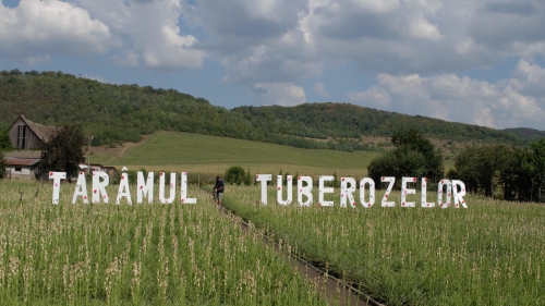 „Exclusiv în România”: Cristi Tabără ne-a invitat pe Tărâmul Tuberozelor