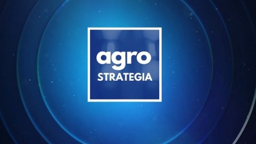 Agrostrategia