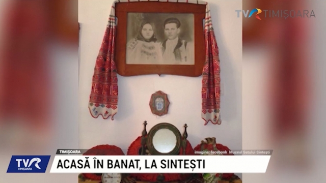 Acasă în Banat, la Sintești | VIDEO