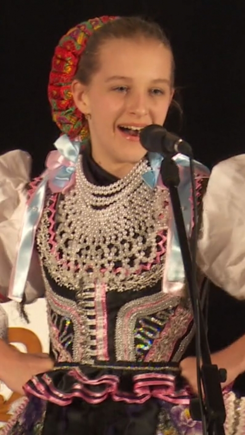 Cultura minorităţilor
