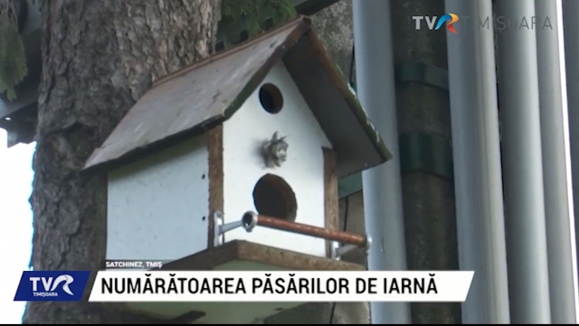 Numărătoarea păsărilor de iarnă | VIDEO