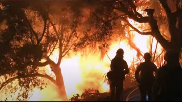 Mega-incendiile, o ameninţare globală – documentar în premieră la TVR1 | VIDEO