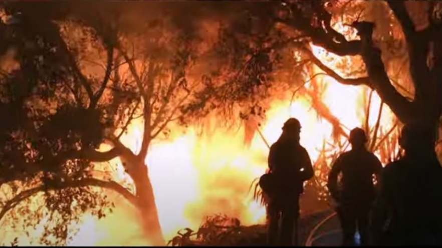 Mega-incendiile, o ameninţare globală – documentar în premieră la TVR1 | VIDEO