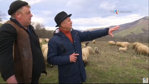 Ciobanul Gheorghe Românu din Domașnea: Clientul nu știe să ne aprecieze munca