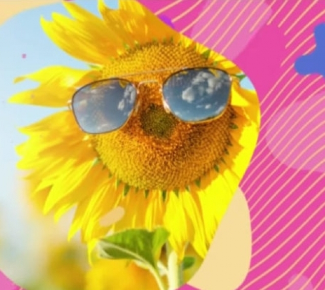 Vară pentru voi