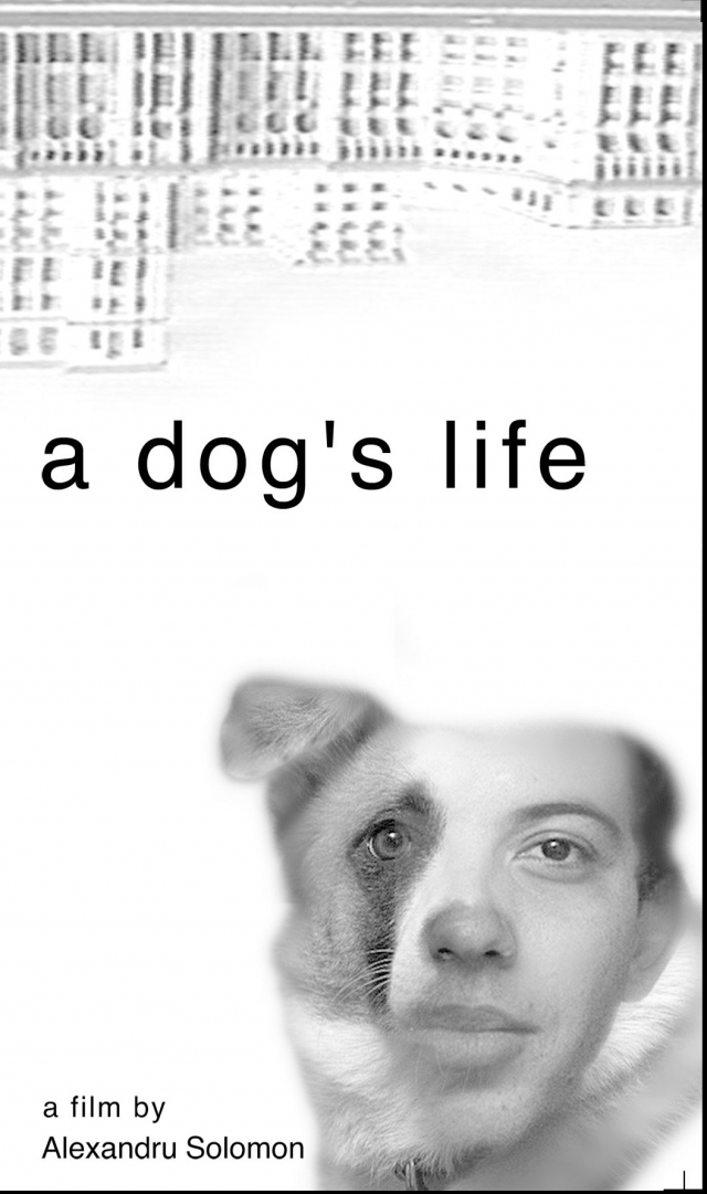 Viaţă de câine