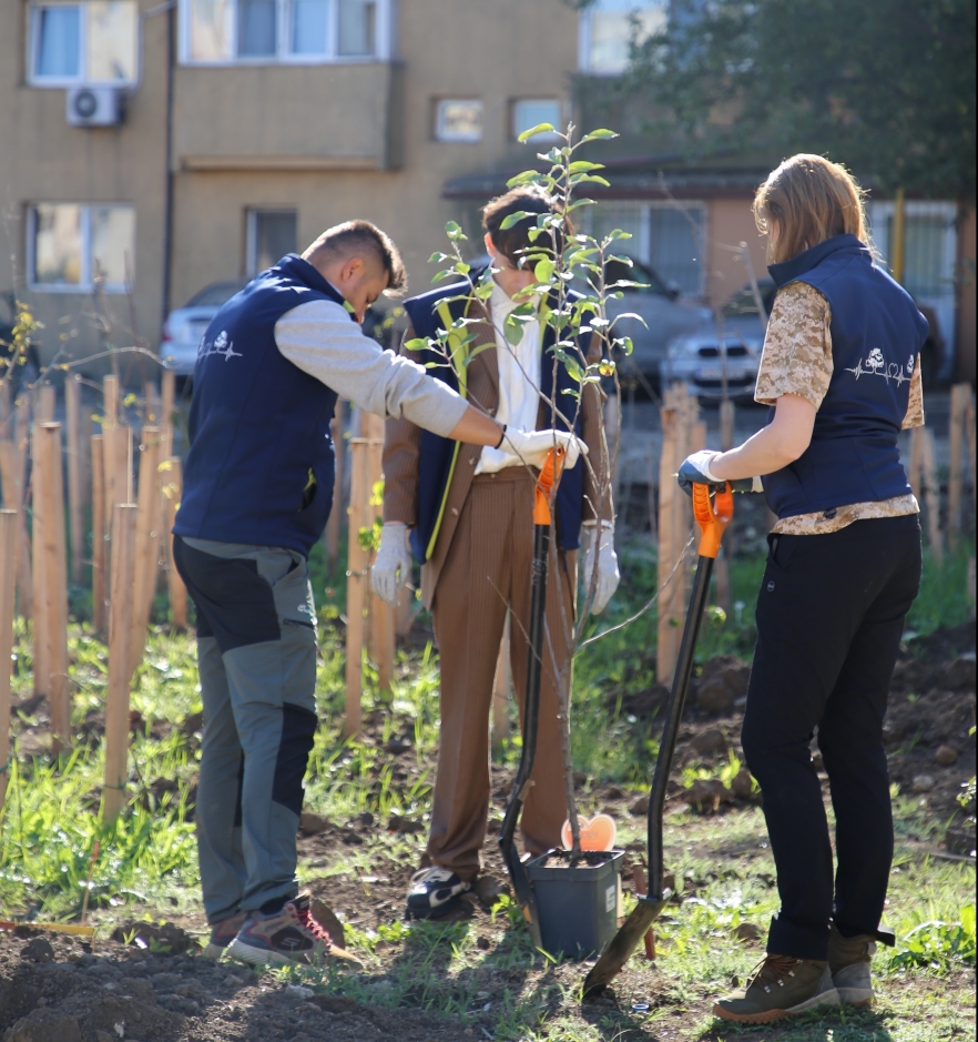 (w882) plantat