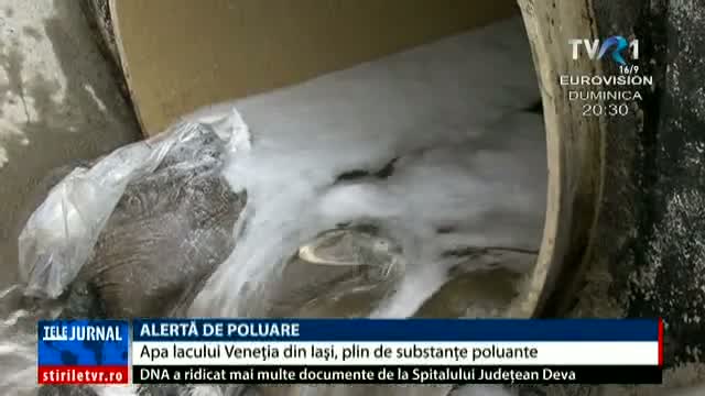 Alertă de poluare pe lacul Veneția din Iași 
