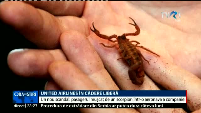 Pasager mușcat de scorpion în avion