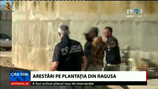 Arestări pe plantația din Ragusa