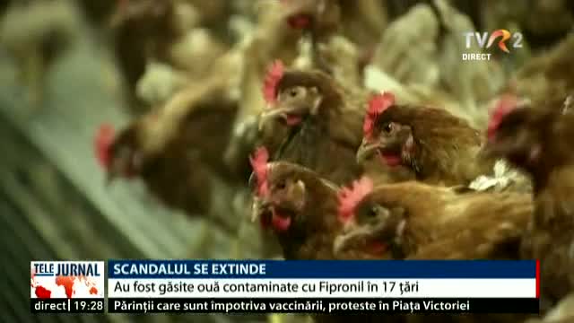 Scandalul ouălor contaminate se extinde în 17 țări europene