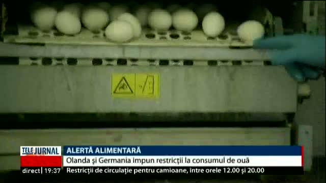 Olanda și Germania impun restricții la consumul de ouă 
