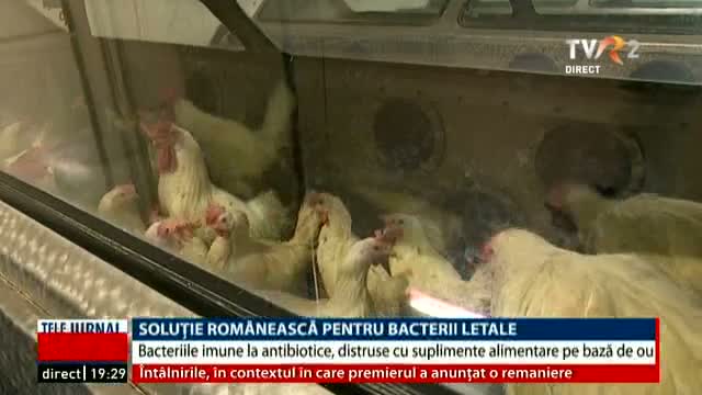 Soluție românească pentru bacterii letale 