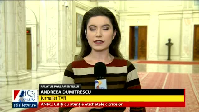 Duplex Parlament, Andreea Dumitrescu