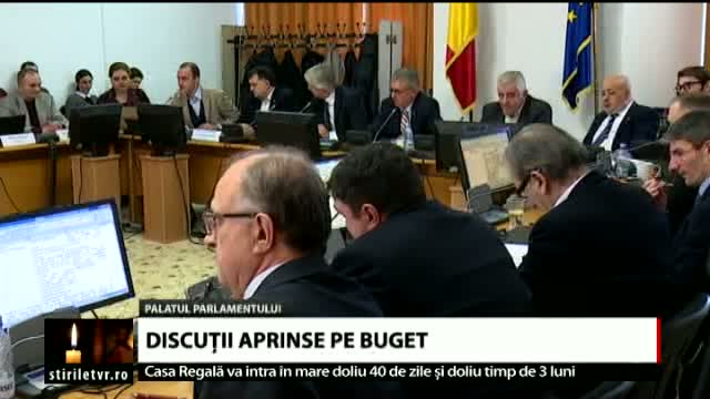 Discutii pe Buget