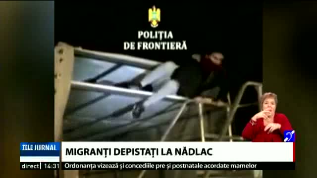Migranți prinși la Nădlac