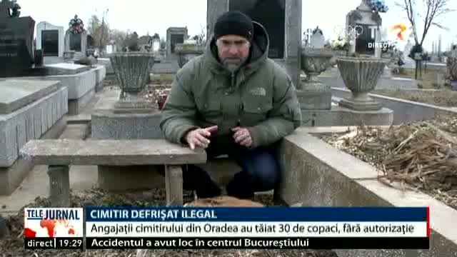 Cimitir defrișat ilegal