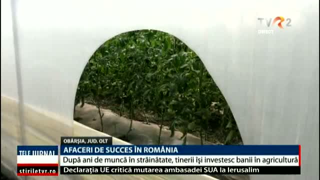 Afaceri de succes în România 