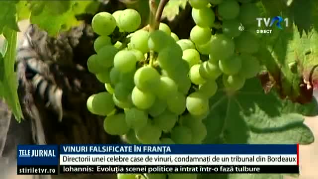 Vinuri falsificate în Franța 