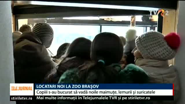 Locatari noi la Zoo Brașov