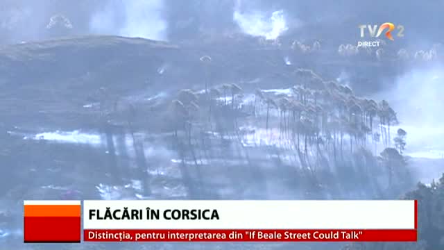 Incendii de vegetație în Corsica 