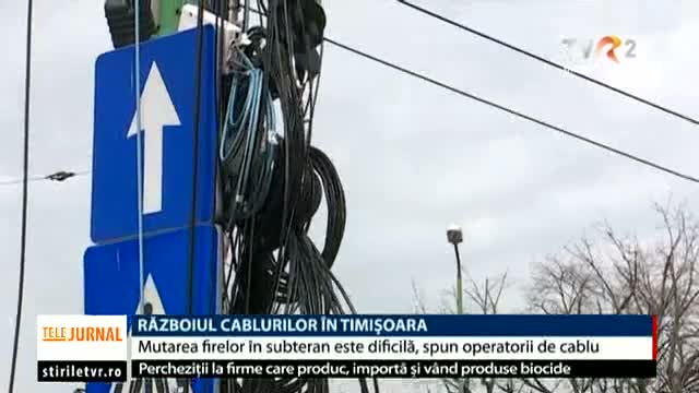 Războiul cablurilor în Timișoara