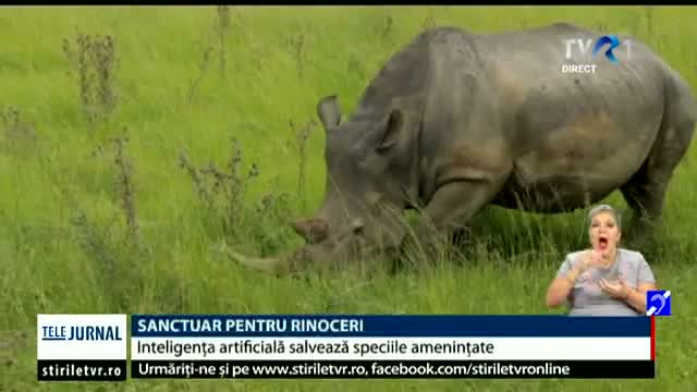 Sanctuar pentru rinoceri