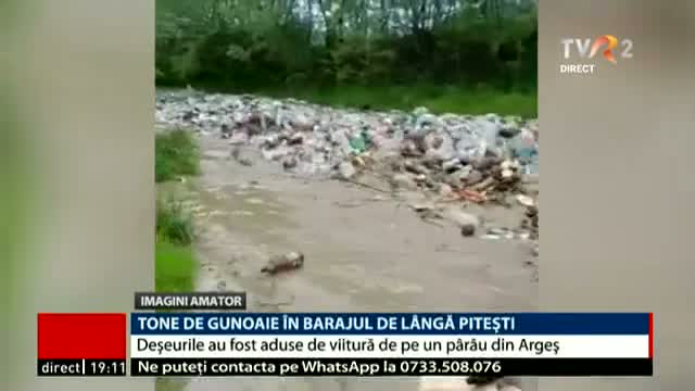 Tone de gunoaie în barajul de lângă Pitești 
