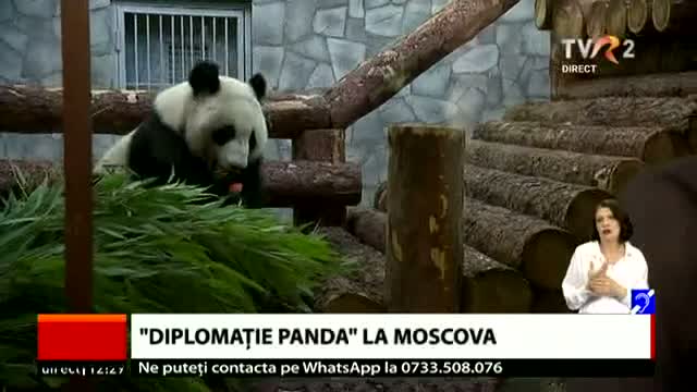 Diplomație Panda la Moscova