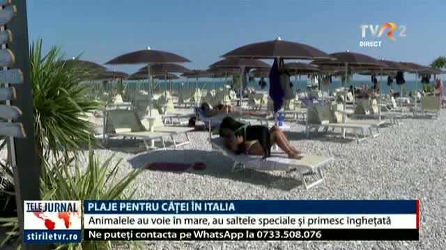 Plaje pentru căței în Italia