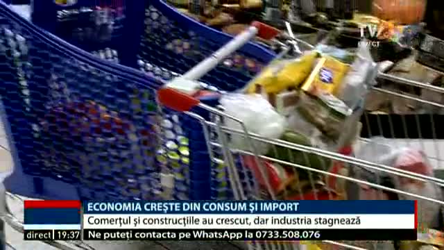 Economia crește din consum și import 