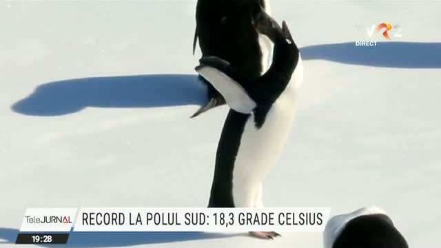Record la Polul Sud