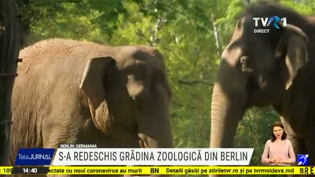S-a redeschis gradina zoologica din Berlin