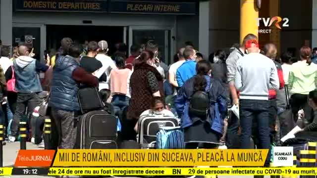 Mii de români, inclusiv din Suceava, pleacă la muncă în străinătate 