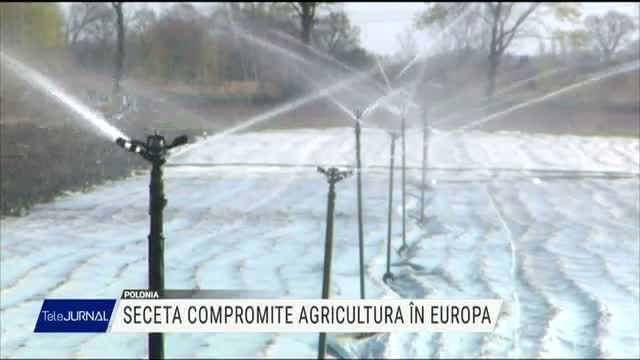 Seceta compromite agricultura în Europa
