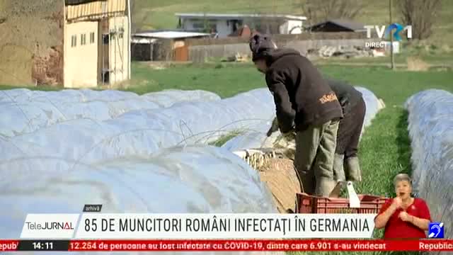Muncitori romani infectati in Germania 