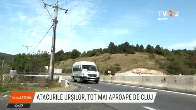 Atacurile urșilor, tot mai aproape de Cluj 