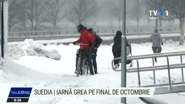Iarna grea in Suedia 